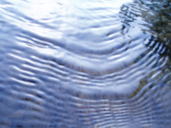 Wave Motion Tutorial